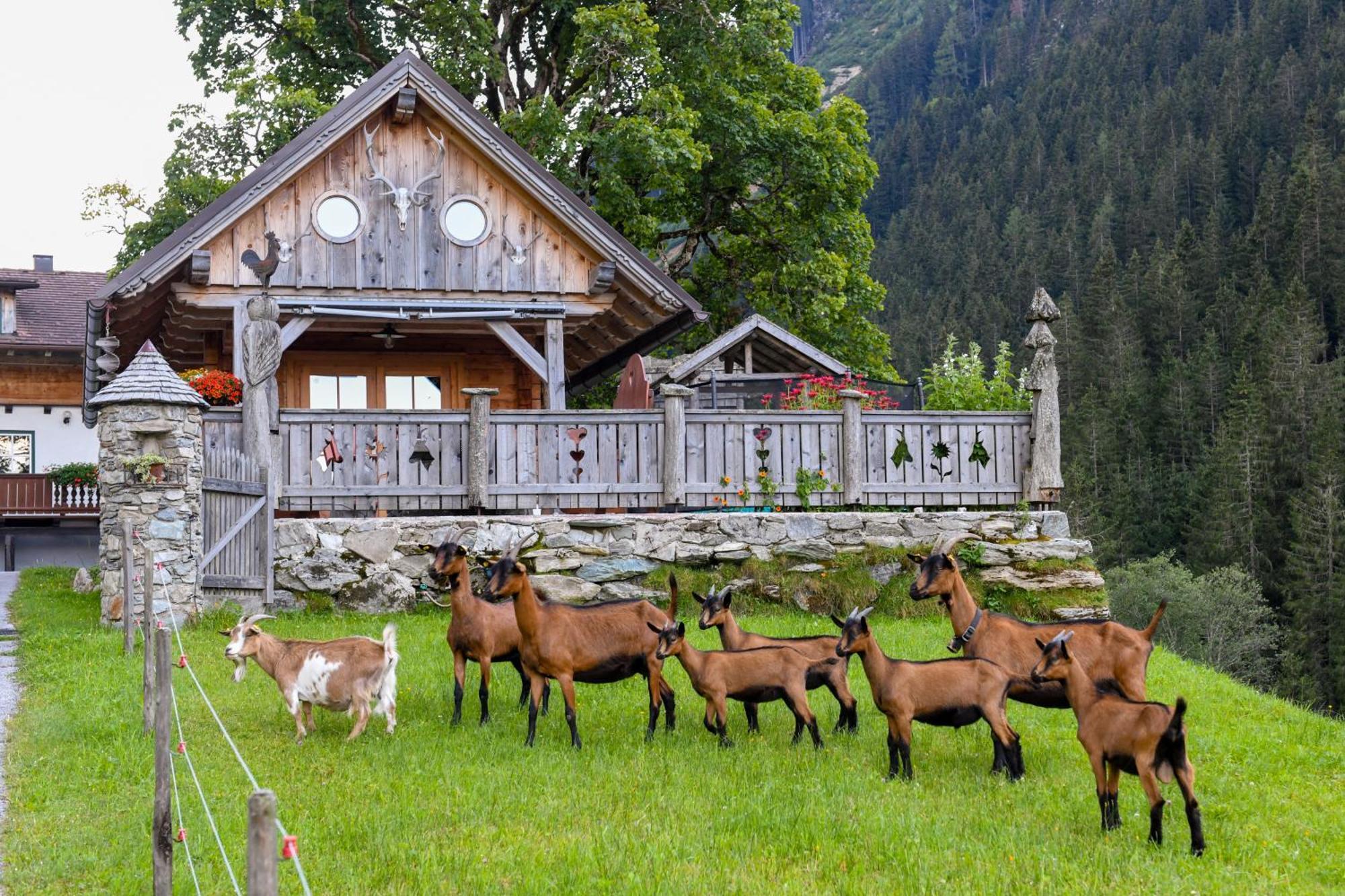 Villa Strickhof Schladming Exterior foto