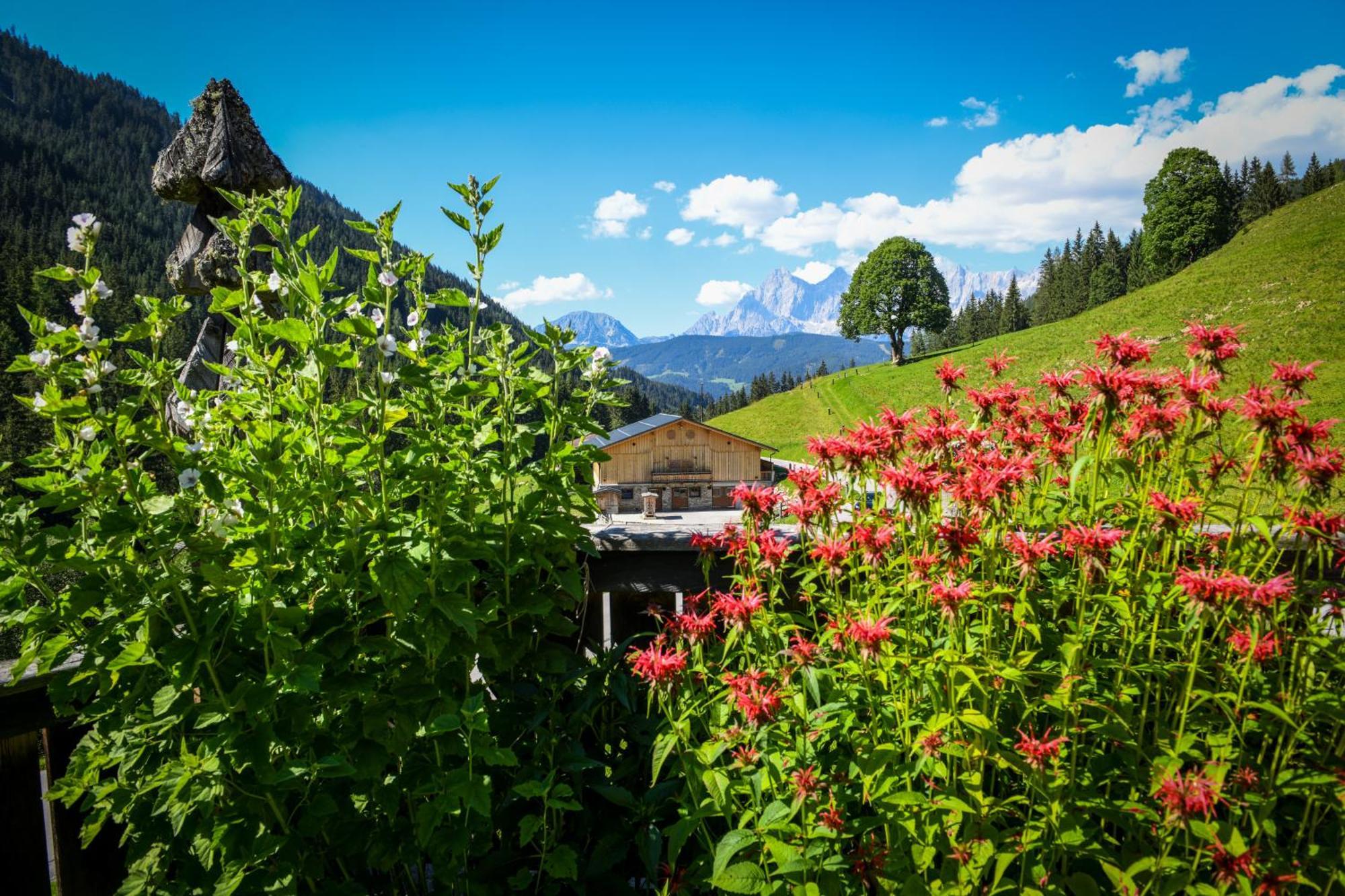 Villa Strickhof Schladming Exterior foto